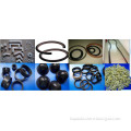 Rubber Ring, Seals